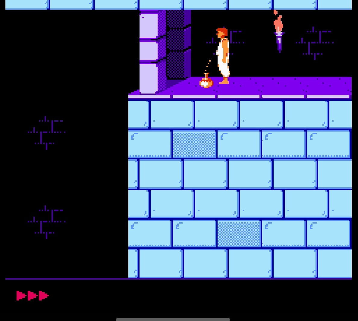 Пузырек здоровья в игре Денди Принц Персии. А иногда и нездоровья